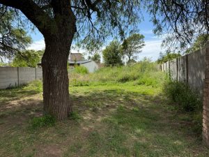 14f8b05553fe45be9687e6d4319670c3