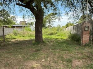 606131244c20322a0f95d441b7f7be45