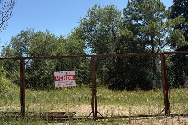 WhatsApp Image 2026-01-05 at 17.13.23