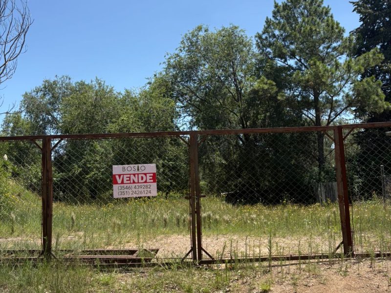 WhatsApp Image 2026-01-05 at 17.13.23