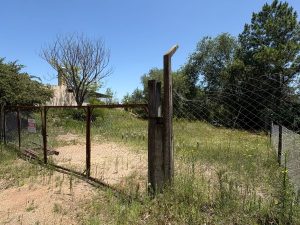 WhatsApp Image 2026-01-05 at 17.13.24 (1)