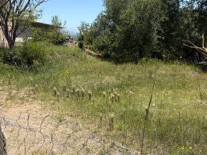 WhatsApp Image 2026-01-05 at 17.13.25 (1)