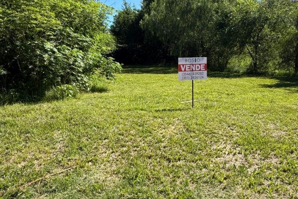 WhatsApp Image 2026-01-09 at 11.25.30 (1)