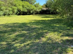 WhatsApp Image 2026-01-09 at 11.25.30 (2)