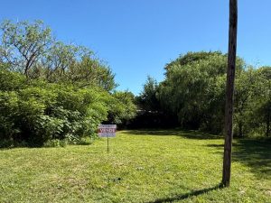 WhatsApp Image 2026-01-09 at 11.25.30