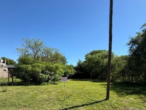 WhatsApp Image 2026-01-09 at 11.25.31