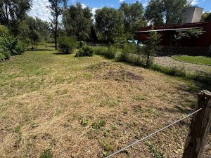 WhatsApp Image 2026-02-16 at 12.25.49 (1)