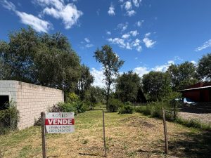 WhatsApp Image 2026-02-16 at 12.25.49 (2)