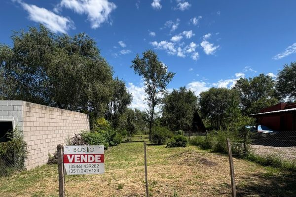 WhatsApp Image 2026-02-16 at 12.25.49 (2)