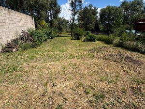 WhatsApp Image 2026-02-16 at 12.25.49