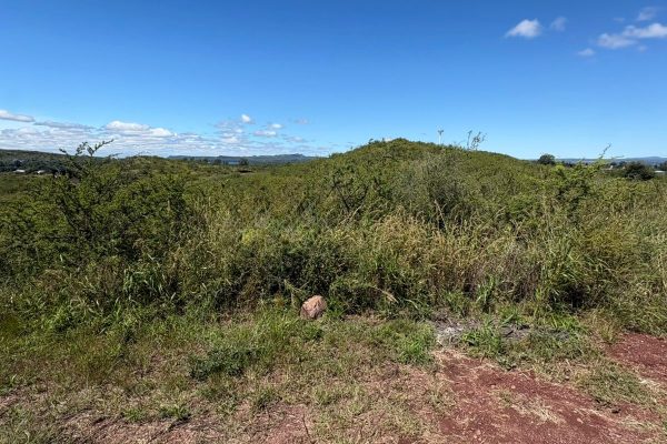 WhatsApp Image 2026-03-16 at 17.52.40 (1)