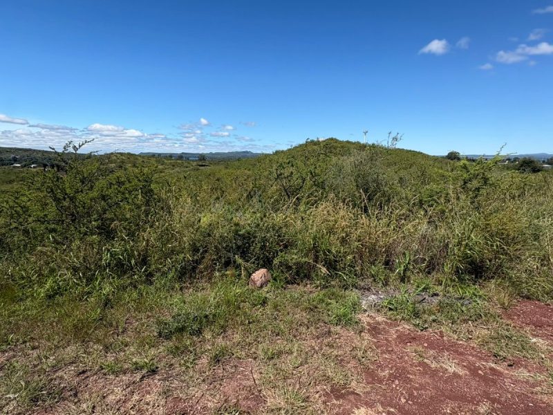 WhatsApp Image 2026-03-16 at 17.52.40 (1)