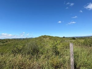 WhatsApp Image 2026-03-16 at 17.52.40