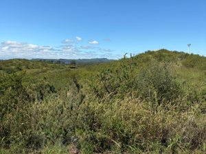 WhatsApp Image 2026-03-16 at 17.52.41 (1)