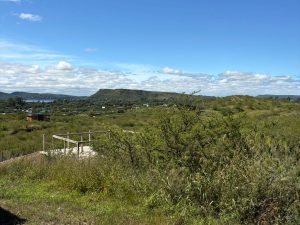 WhatsApp Image 2026-03-16 at 17.52.41 (2)