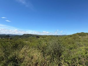 WhatsApp Image 2026-03-16 at 17.52.41